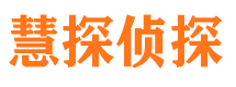 彭山侦探公司